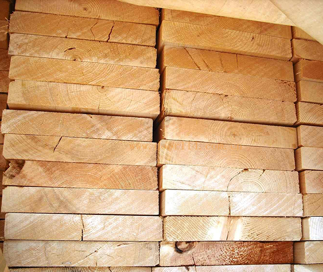 高州智利辐射松方木